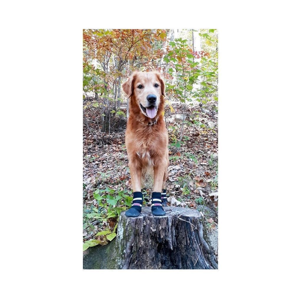 Bark Brite All Weather Reflective Neoprene Dog Pet Boots, 4 count NWT - Picture 4 of 10